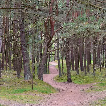 Апартаменти Apartamentai 